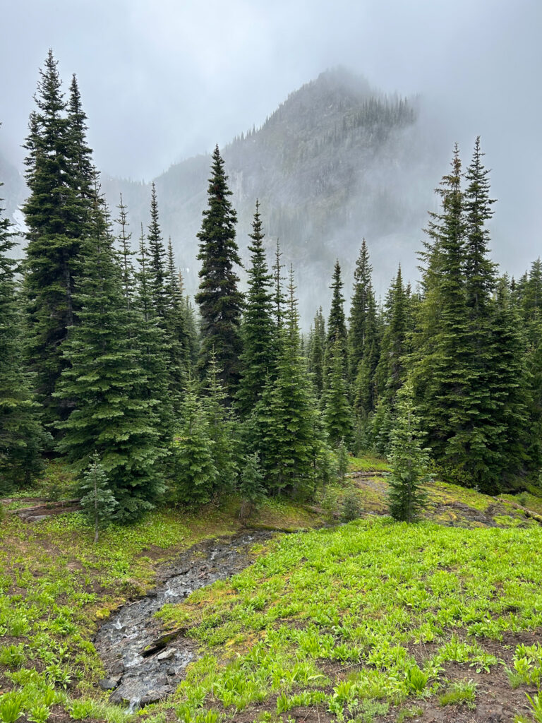 A mountain covered in fog 